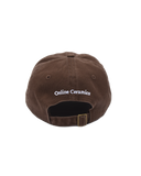 Light Of Mine - Brown Hat