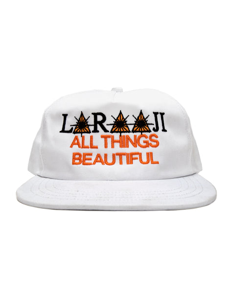 All Things Beautiful - Hat